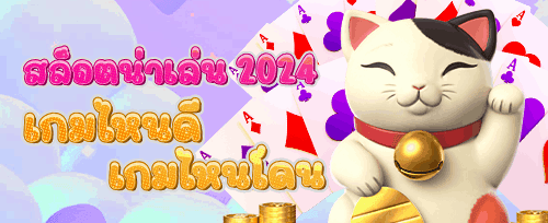 แพ็กเกจ VIP ประจำเดือน promotion banner